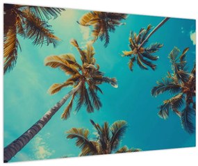 Tablou - Palmieri înalți (90x60 cm)