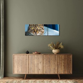 Tablou - Pisica domestică (cu ceas) (90x30 cm)