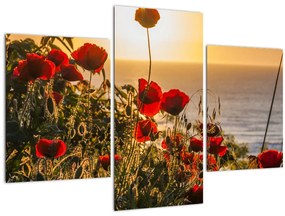 Tablou cu apus de soare cu flori de maci (90x60 cm)