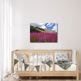 Tablou sceneriei cu lunca montană (70x50 cm)