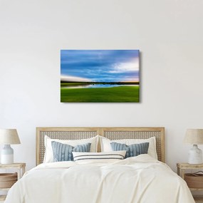 Tablou cu lunca (90x60 cm)