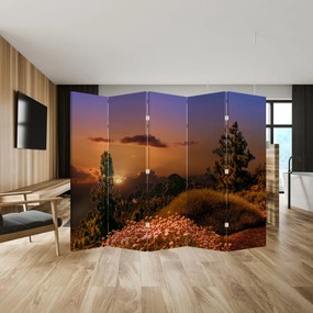 Paravan naturii - Apus de soare (210x170 cm)