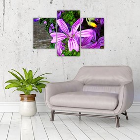 Tablou -flori de câmp (90x60 cm)
