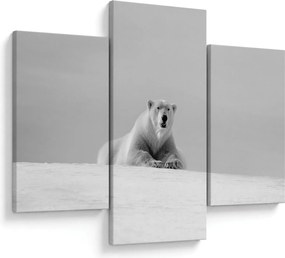 Tablou - Ursul polar (90x60 cm)