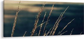 Tablou cu ierburi (120x50 cm)