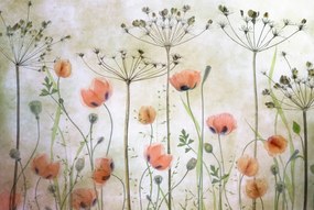 Tapet Poppy Meadow, Rebel Walls