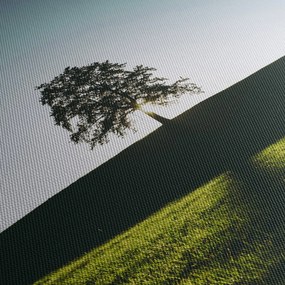 Tablou cu natura - copac (90x60 cm)
