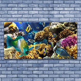 Tablou pe panza canvas Coral Reef Natura Multi