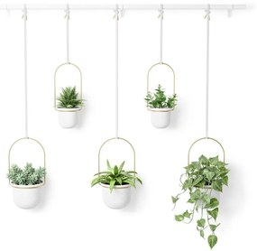 Ghiveci decorativ 5 buc. din plastic pentru ierburi aromatice/suspendată și de perete ø 7,5 cm Triflora – Umbra