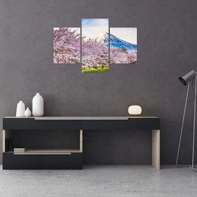 Tablou - Japonia în primăvară (90x60 cm)