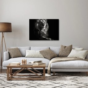 Tablou - Leu (70x50 cm)