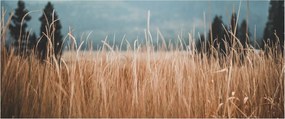 Tablou - detaliu spațiului de luncă (120x50 cm)