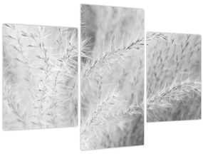 Tablou - Iarbă de pampas N⁰1 (90x60 cm)