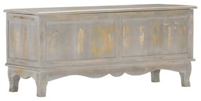 Lada de depozitare, gri, 100x38x45 cm, lemn masiv de mango 1, Gri
