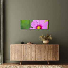 Tablou - floare de câmp (cu ceas) (90x30 cm)