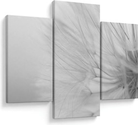 Tablou - Dandelion (90x60 cm)