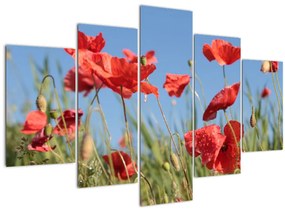 Tablou - Maci (150x105 cm)