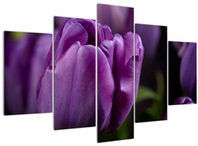 Tablou cu flori de lalele (150x105 cm)