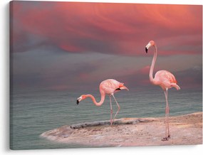 Tablou - Flamingo (70x50 cm)