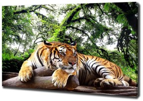 Tablou pe pânză Tiger pe stâncă