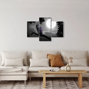 Tablou - Bufniță de noapte, bufniță mov (90x60 cm)