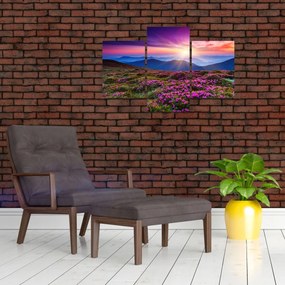 Tablou - Munte înflorit peisaj (90x60 cm)