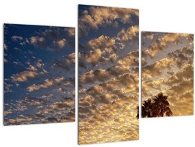 Tablou - Palmieri între nori (90x60 cm)