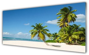 Tablou pe sticla Palm Beach Copaci Peisaj Brun Verde
