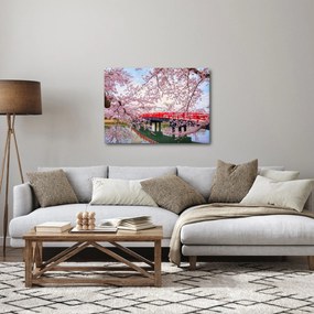 Tablou - Hirosaki, Japonia (70x50 cm)