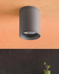 Plafonier exterior IP44 Tasa 70806