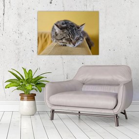 Tablou pe sticlă cu pisica pe fotoliu (70x50 cm)
