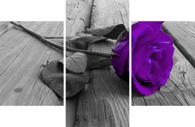 Tablou - Trandafir violet cu tulpina verde (90x60 cm)