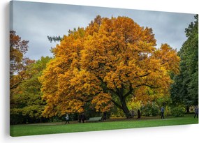 Tablou cu copac (90x60 cm)