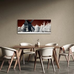 Tablou cu moară (120x50 cm)
