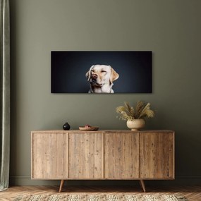 Tablou cu labrador (120x50 cm)