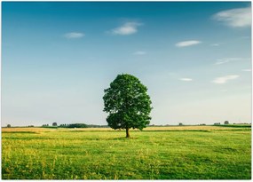 Tablu - Copac în luncă (70x50 cm)