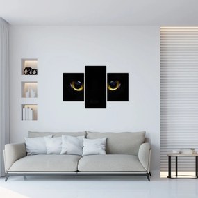 Tablou - Ochi de pisică (90x60 cm)