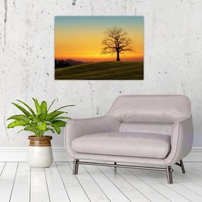 Tablou pe sticlă - Copacul în câmp (70x50 cm)