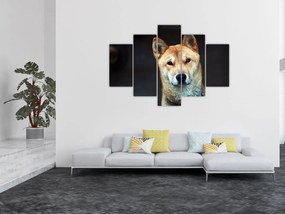 Tablou cu câine (150x105 cm)