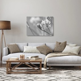 Tablou pe sticlă - Floare înflorită (70x50 cm)