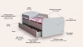 FROZEN VARIANTA 2 CU MANERE