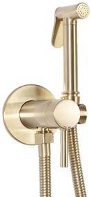 Baterie bideu Lungo Loop Gold Brush