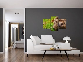 Tablou cu arici (90x60 cm)