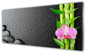 Tablouri acrilice Bamboo Peduncul flori Stones verde florale roz negru