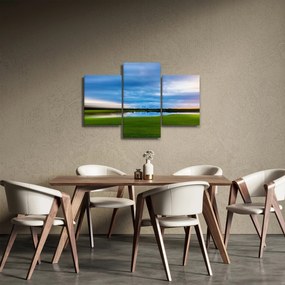 Tablou cu lunca (90x60 cm)