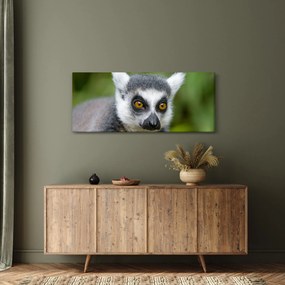 Tablou cu lemur (120x50 cm)