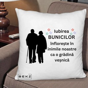 Cadou pentru Bunici - Perna Personalizata Bunicii Iubirea Infloreste Silueta Neagra Flori, 40x40 cm, Alb Pufos, Husa Detasabila, Perna Inclusa, BEKZ®
