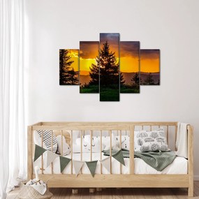 Tablou - coniferi (150x105 cm)