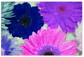 Tablou cu flori colorate (90x60 cm)