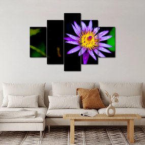 Tablou cu floare (150x105 cm)